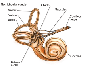 Positional Vertigo